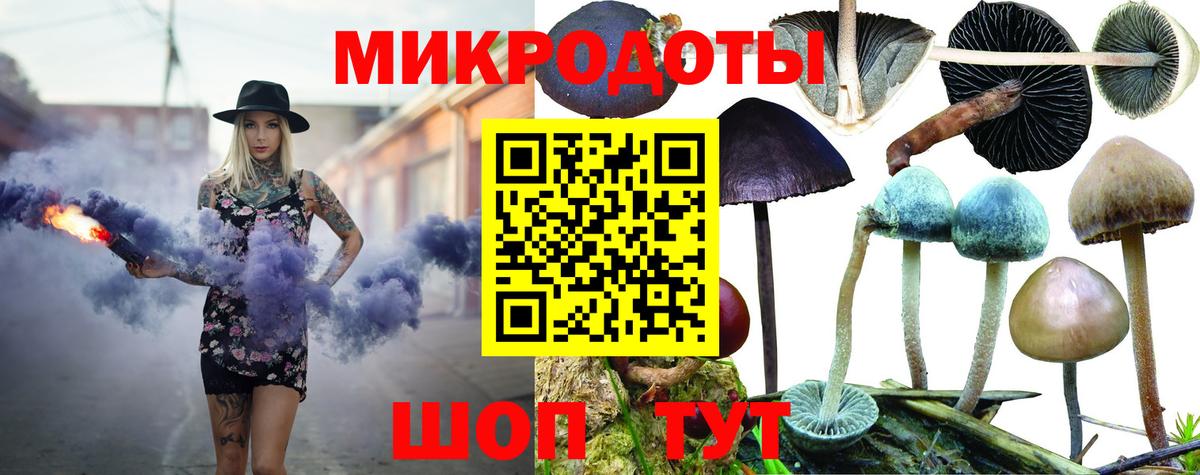 Скопин  Псилоцибиновые грибы Psilocybe  Вход с VPN 